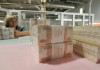 Денежная база в России за неделю выросла на 9,4%