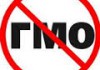 В России полностью запрещается ГМО в АПК
