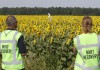 junge Welt: Экс-разведчики США требуют опубликовать полный отчет о Boeing MH17