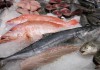 Эксперты: потребление рыбы в России за год снизится на треть