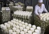 Росстат: производство сыров в России в январе-феврале увеличилось на треть