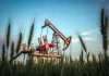 Нефть России ударила по украинской пшенице