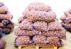 Хороший урожай картофеля в РФ обернулся катастрофой
