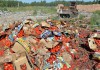 Россельхознадзор уничтожил под Оренбургом почти 20 тонн турецких томатов