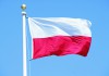 Польша обеспокоена случаями ксенофобии в отношении поляков в Великобритании