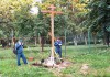 Cторонники протестного движения попытались сломать крест на месте строительства храма  в парке 